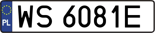 WS6081E