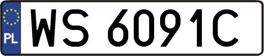 WS6091C