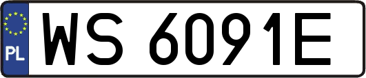 WS6091E