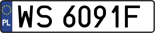 WS6091F