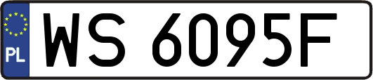 WS6095F