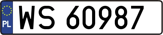 WS60987