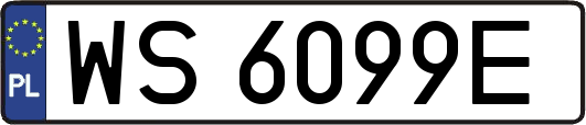WS6099E