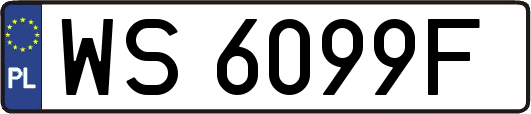 WS6099F