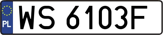 WS6103F
