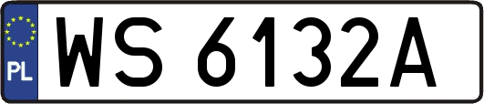 WS6132A