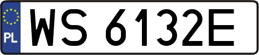 WS6132E