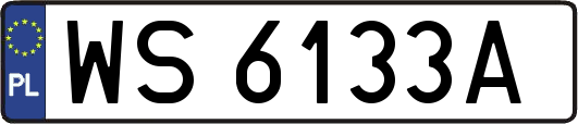 WS6133A