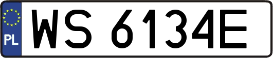 WS6134E