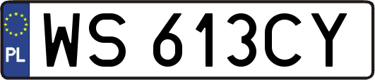 WS613CY