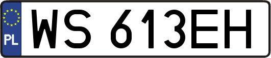 WS613EH