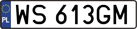 WS613GM