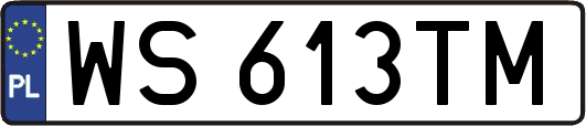 WS613TM