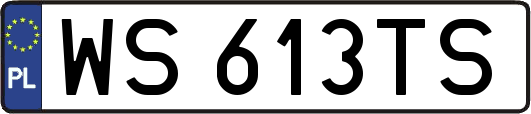 WS613TS