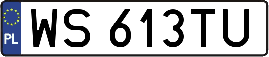 WS613TU