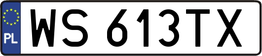 WS613TX