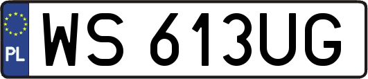 WS613UG
