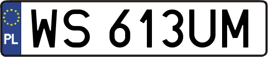 WS613UM