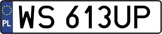 WS613UP