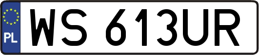WS613UR