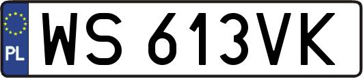 WS613VK