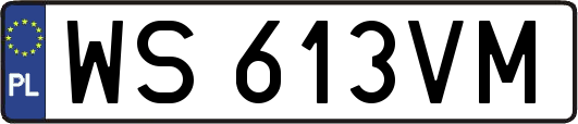 WS613VM