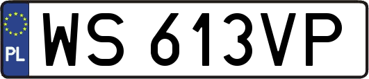 WS613VP