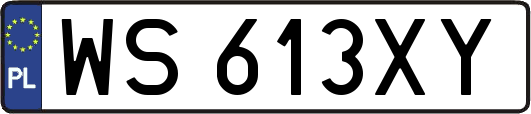 WS613XY