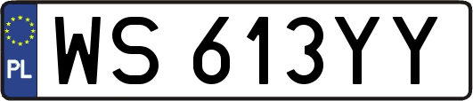 WS613YY