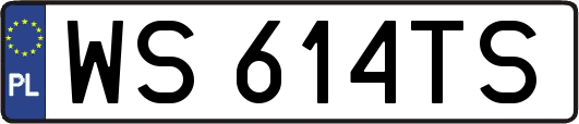 WS614TS