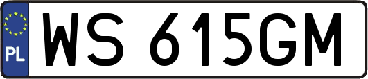 WS615GM