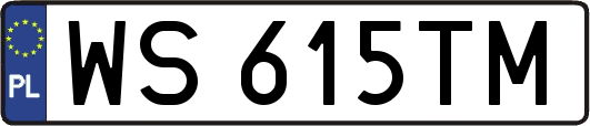 WS615TM