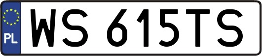 WS615TS