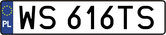 WS616TS