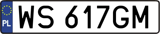 WS617GM