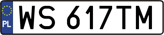 WS617TM
