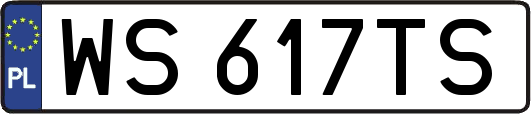 WS617TS