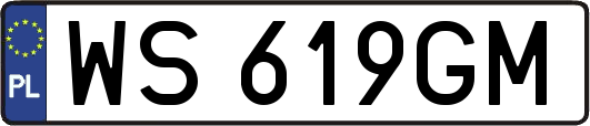 WS619GM