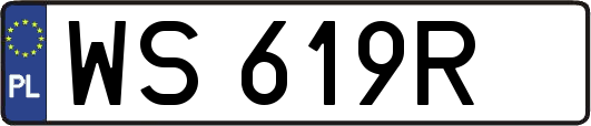 WS619R