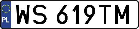 WS619TM