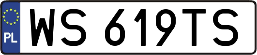 WS619TS