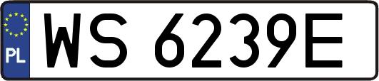 WS6239E