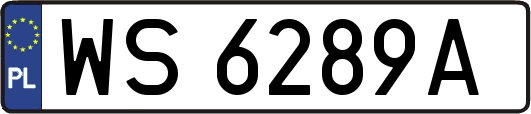 WS6289A