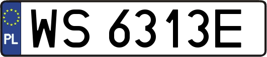 WS6313E
