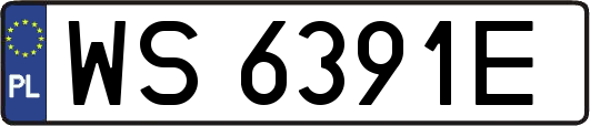 WS6391E
