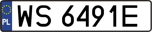 WS6491E