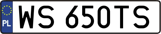 WS650TS