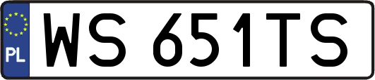 WS651TS