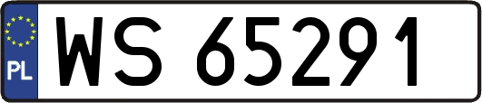 WS65291