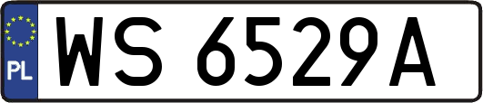 WS6529A